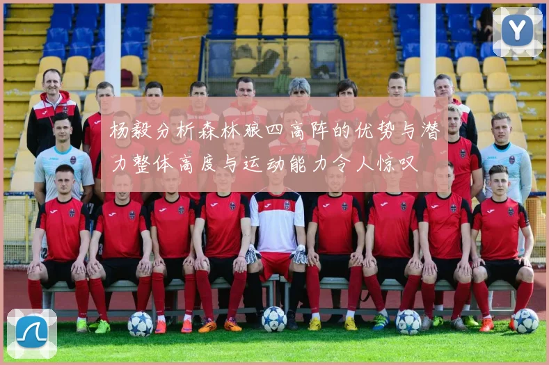 杨毅分析森林狼四高阵的优势与潜力整体高度与运动能力令人惊叹